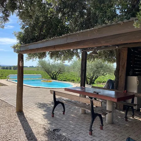 Batisse Au Coeur D'un Vignoble *