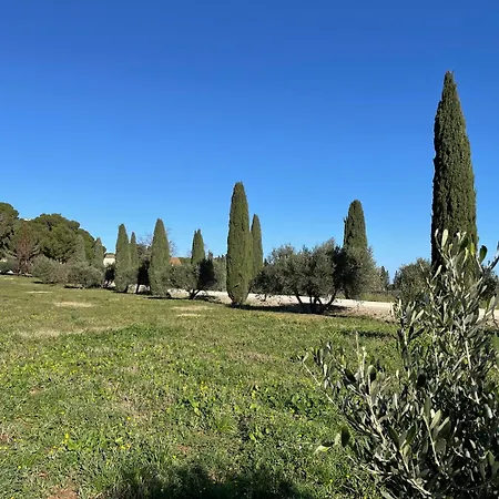 Batisse Au Coeur D'un Vignoble * Montfrin