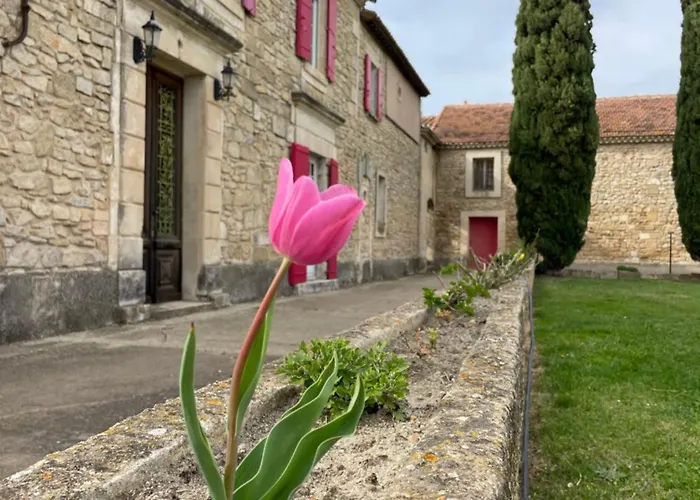 Vakantiehuis Batisse Au Coeur D'un Vignoble Montfrin